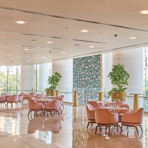 TC-WEB-BANNER-500X500-05